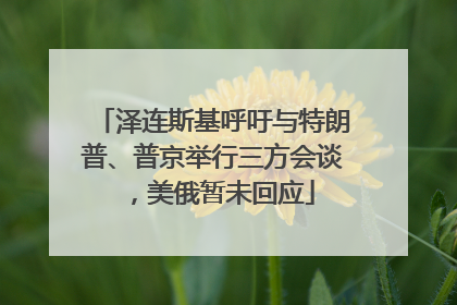 泽连斯基呼吁与特朗普、普京举行三方会谈，美俄暂未回应