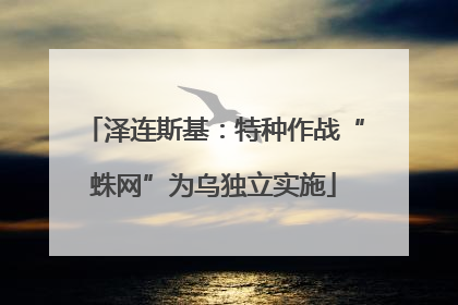 泽连斯基：特种作战“蛛网”为乌独立实施