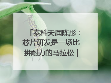 泰科天润陈彤：芯片研发是一场比拼耐力的马拉松｜湘商，向上⑤