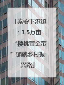 泰安下港镇：1.5万亩“樱桃黄金带”铺就乡村振兴路