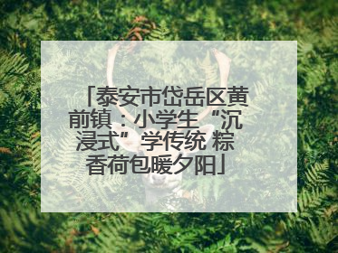 泰安市岱岳区黄前镇：小学生“沉浸式”学传统 粽香荷包暖夕阳