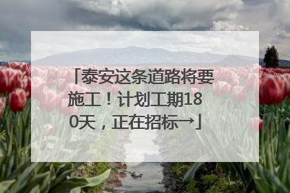 泰安这条道路将要施工！计划工期180天，正在招标→