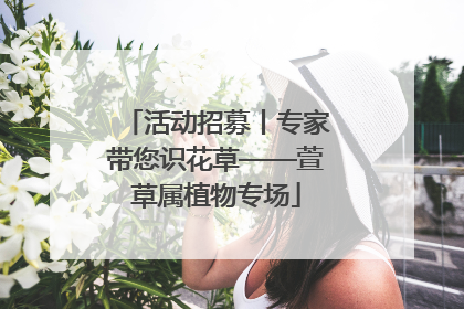 活动招募丨专家带您识花草——萱草属植物专场