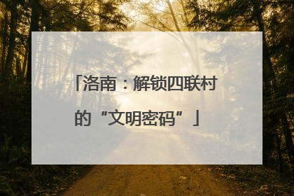 洛南：解锁四联村的“文明密码”