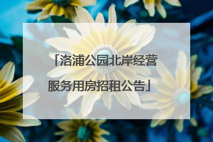 洛浦公园北岸经营服务用房招租公告