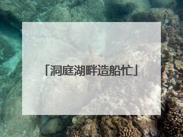 洞庭湖畔造船忙