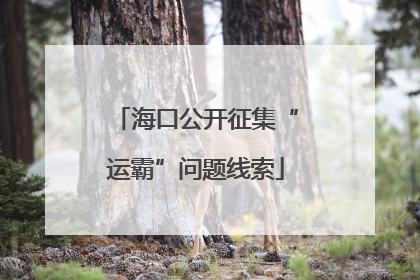 海口公开征集“运霸”问题线索