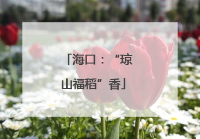 海口：“琼山福稻”香