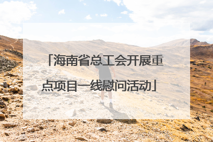海南省总工会开展重点项目一线慰问活动
