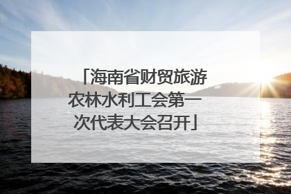 海南省财贸旅游农林水利工会第一次代表大会召开