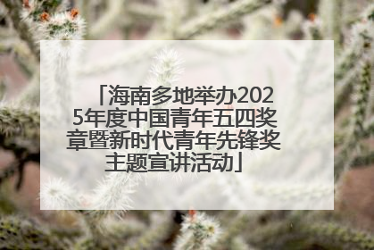 海南多地举办2025年度中国青年五四奖章暨新时代青年先锋奖主题宣讲活动