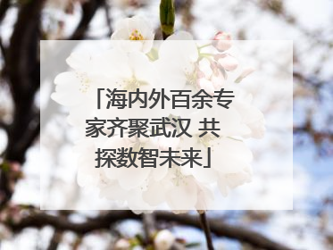 海内外百余专家齐聚武汉 共探数智未来