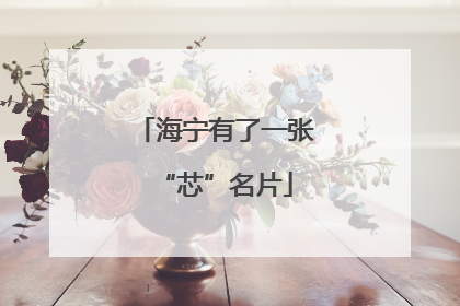 海宁有了一张“芯”名片