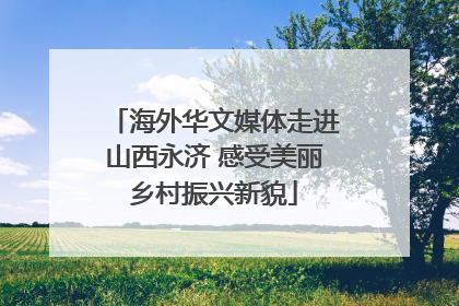 海外华文媒体走进山西永济 感受美丽乡村振兴新貌