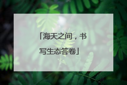 海天之间，书写生态答卷