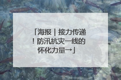 海报｜接力传递！防汛抗灾一线的怀化力量→