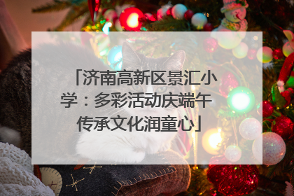 济南高新区景汇小学：多彩活动庆端午 传承文化润童心