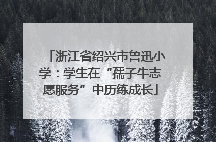 浙江省绍兴市鲁迅小学：学生在“孺子牛志愿服务”中历练成长