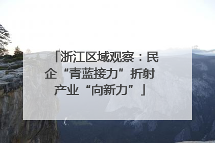 浙江区域观察：民企“青蓝接力”折射产业“向新力”