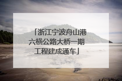 浙江宁波舟山港六横公路大桥一期工程建成通车