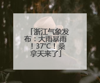 浙江气象发布：大雨暴雨！37℃！桑拿天来了