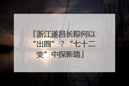 浙江遂昌长粽何以“出圈”？“七十二变”中探新路