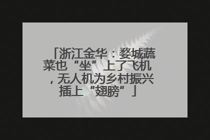 浙江金华：婺城蔬菜也“坐”上了飞机，无人机为乡村振兴插上“翅膀”
