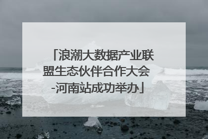 浪潮大数据产业联盟生态伙伴合作大会-河南站成功举办