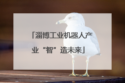 淄博工业机器人产业“智”造未来