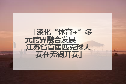 深化“体育+”多元跨界融合发展——江苏省首届匹克球大赛在无锡开赛