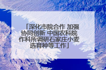 深化市院合作 加强协同创新 中国农科院作科所调研石家庄小麦选育种等工作