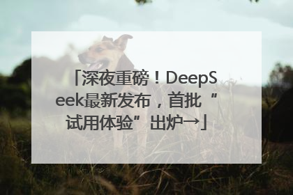 深夜重磅！DeepSeek最新发布，首批“试用体验”出炉→