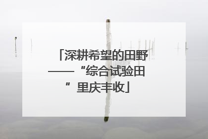 深耕希望的田野——“综合试验田”里庆丰收