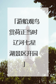 游船观鸟赏荷正当时 辽河七星湖景区开园