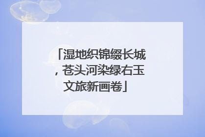 湿地织锦缀长城，苍头河染绿右玉文旅新画卷