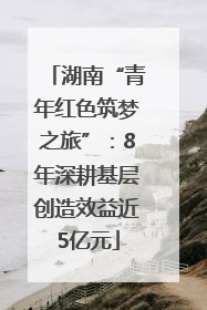湖南“青年红色筑梦之旅”：8年深耕基层创造效益近5亿元