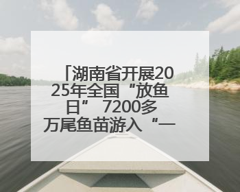 湖南省开展2025年全国“放鱼日” 7200多万尾鱼苗游入“一湖四水”