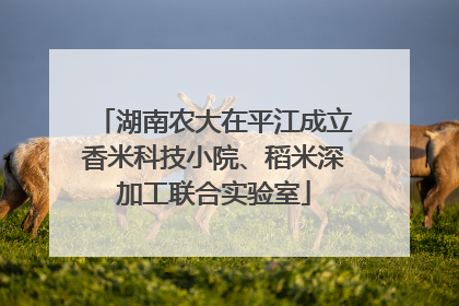 湖南农大在平江成立香米科技小院、稻米深加工联合实验室