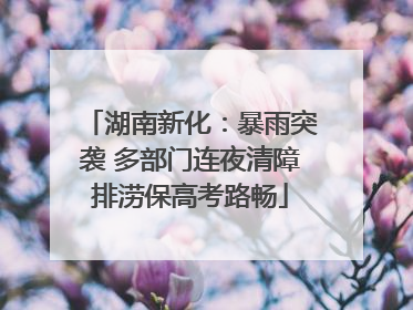 湖南新化：暴雨突袭 多部门连夜清障排涝保高考路畅