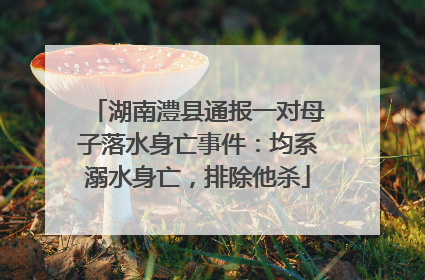 湖南澧县通报一对母子落水身亡事件：均系溺水身亡，排除他杀