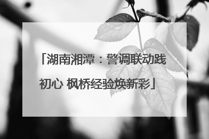 湖南湘潭：警调联动践初心 枫桥经验焕新彩