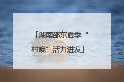 湖南邵东夏季“村晚”活力迸发