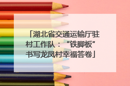 湖北省交通运输厅驻村工作队：“铁脚板”书写龙凤村幸福答卷
