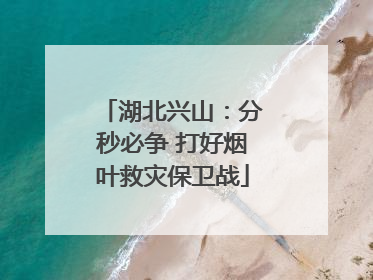 湖北兴山：分秒必争 打好烟叶救灾保卫战