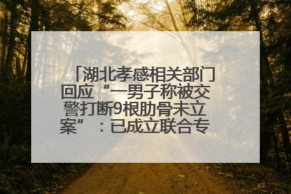 湖北孝感相关部门回应“一男子称被交警打断9根肋骨未立案”：已成立联合专班开展工作
