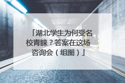 湖北学生为何受名校青睐？答案在这场咨询会（组图）