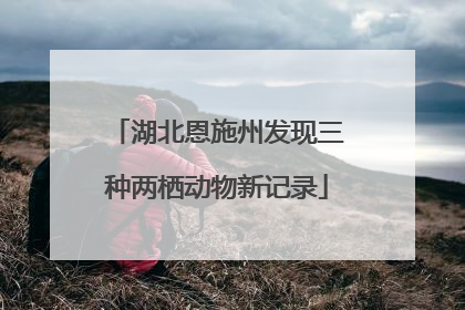 湖北恩施州发现三种两栖动物新记录