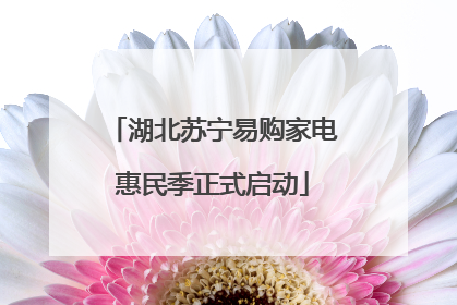 湖北苏宁易购家电惠民季正式启动