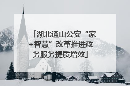 湖北通山公安“家+智慧”改革推进政务服务提质增效