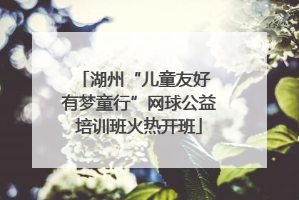 湖州“儿童友好 有梦童行”网球公益培训班火热开班